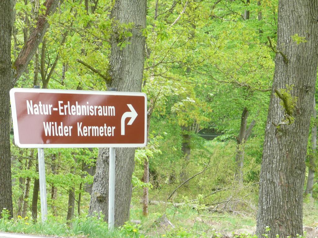 Ferienhaus Kruk Hergarten Esterno foto